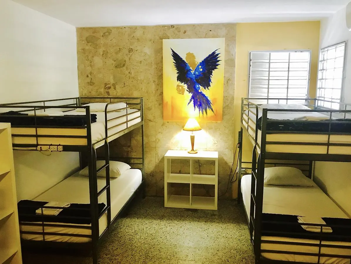 Mango Mansion - International Hostel San Juan