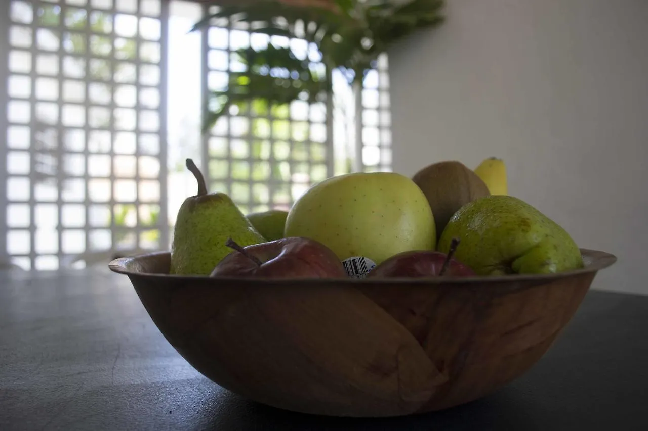 Mango Mansion - International Hostel location